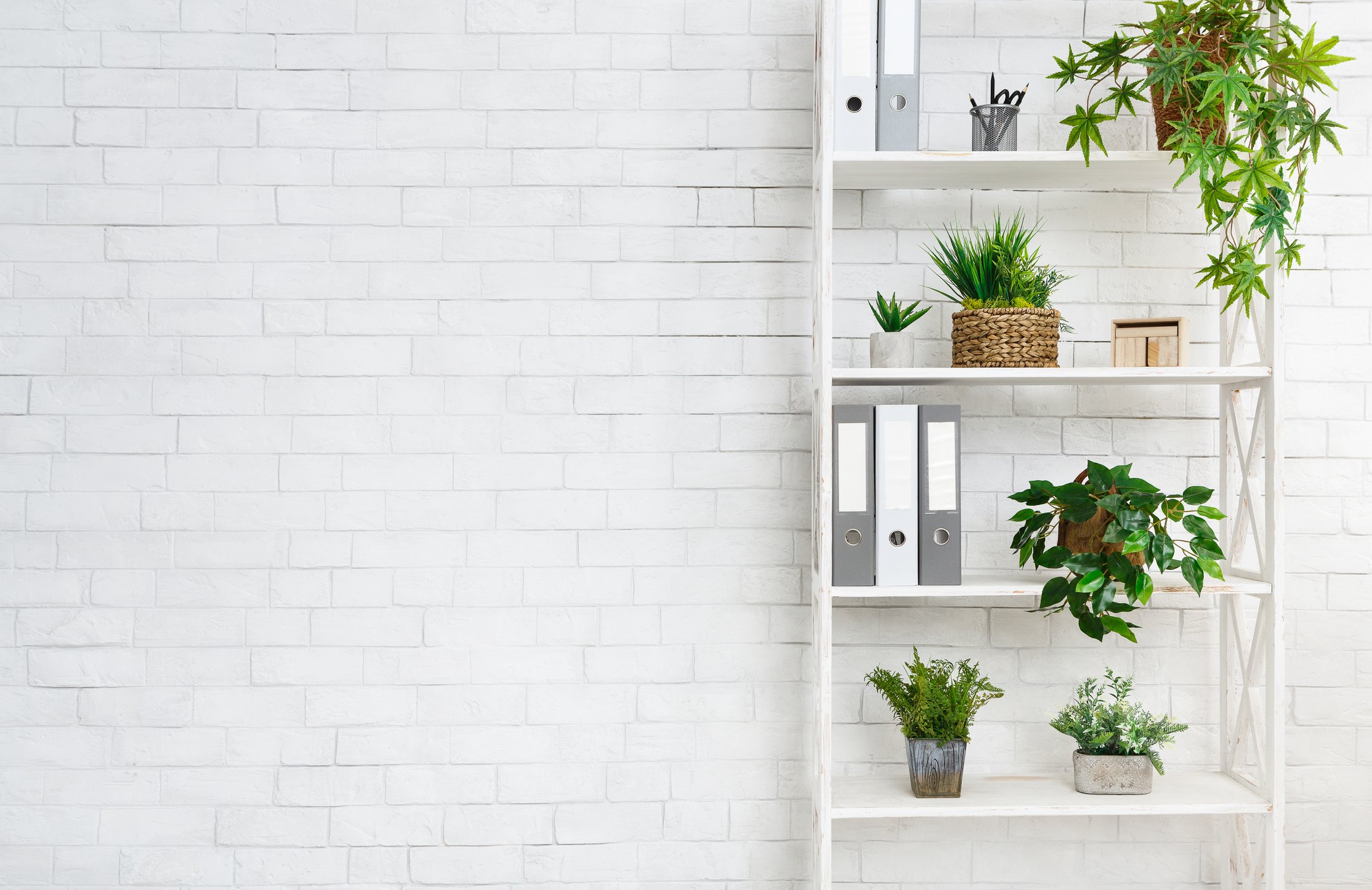 White bookcase with plants and folders over wall